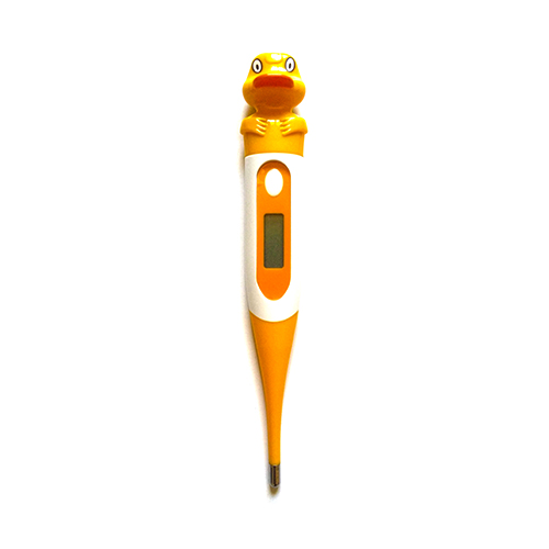 Canard.jpg